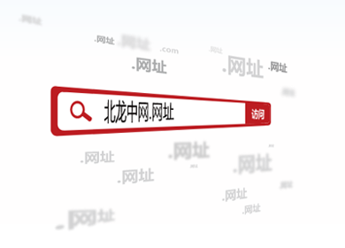 网址域名 网址